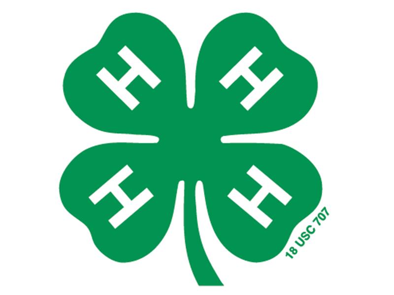Logo for 2024 Sully County 4-H Achievement Days & Fair